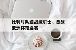 比利时队迎战威尔士，备战欧洲杯预选赛