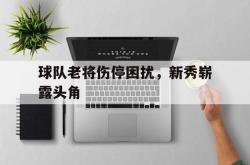 包含球队老将伤停困扰，新秀崭露头角的词条